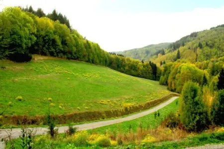 Charmante maison de vacances à Cuxac-Cabardes proche forêts - Photo 41