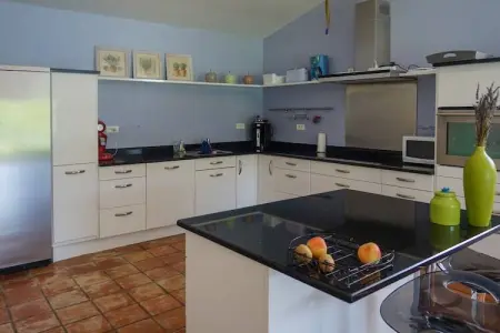 Mas de la Grésigne, Mas de la Grésigne - Superbe maison de vacances piscine privée à Saint-Beauzile - Photo 3