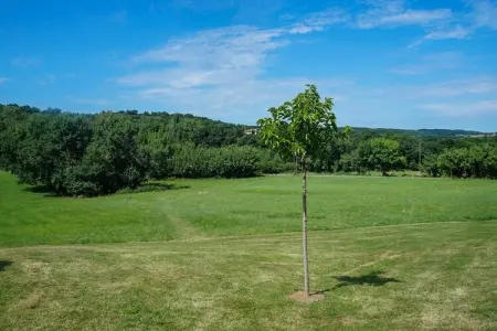Mas de la Grésigne, Mas de la Grésigne - Superbe maison de vacances piscine privée à Saint-Beauzile - Photo 30