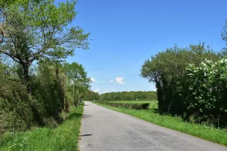 La Chantenay, Maison de vacances moderne avec piscine en Bourgogne - Photo 26