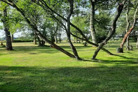 La Chantenay, Maison de vacances moderne avec piscine en Bourgogne - Photo 35