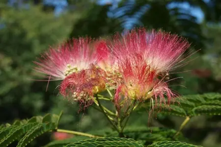 La Cipière - Le Rossignol, Gîte en Nouvelle- Aquitaine avec piscine privée - Photo 23