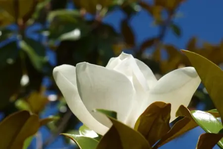 La Cipière - Le Rossignol, Gîte en Nouvelle- Aquitaine avec piscine privée - Photo 26