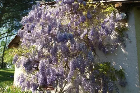 La Cipière - Le Rossignol, Gîte en Nouvelle- Aquitaine avec piscine privée - Photo 30
