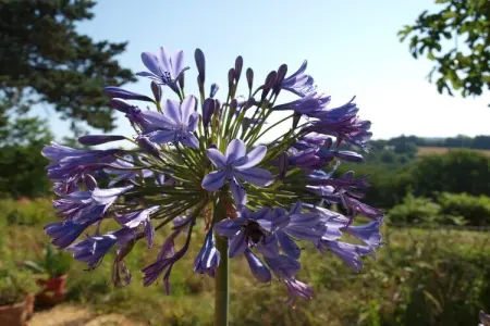 La Cipière - Le Rossignol, Gîte en Nouvelle- Aquitaine avec piscine privée - Photo 42