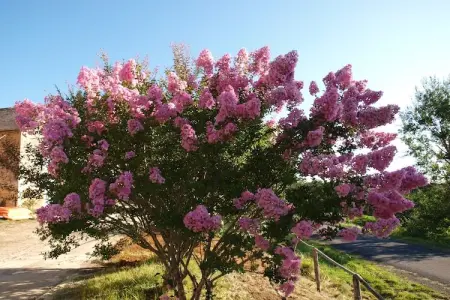 La Cipière - Le Rossignol, Gîte en Nouvelle- Aquitaine avec piscine privée - Photo 46