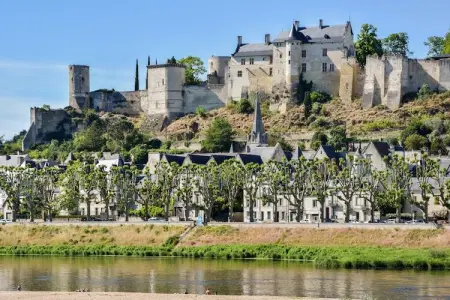 Gite vallée de la Loire, Magnifique maison restaurée près de Thizay avec piscine privee - Photo 32