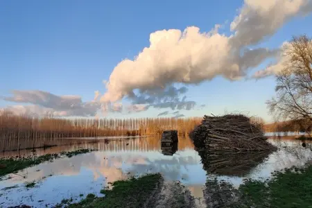 Gite vallée de la Loire, Magnifique maison restaurée près de Thizay avec piscine privee - Photo 39
