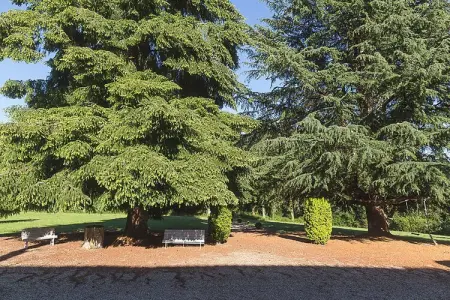 Manoir avec piscine privée, Magnifique manoir en Auvergne avec piscine privée - Photo 27