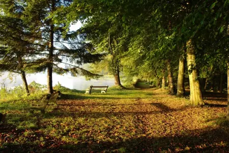 Manoir avec piscine privée, Magnifique manoir en Auvergne avec piscine privée - Photo 30