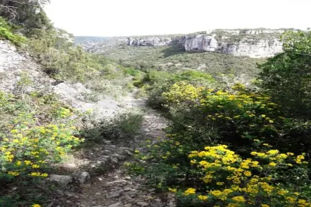Bamboo, Villa de luxe près de la rivière à Cesseras - Photo 31