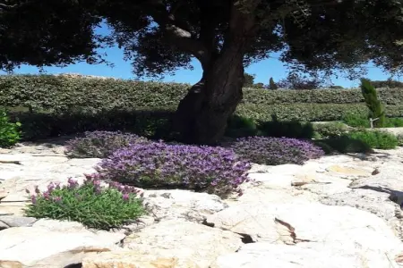 Bamboo, Villa de luxe près de la rivière à Cesseras - Photo 32
