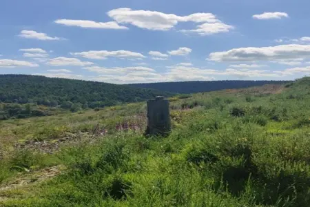Villa Les Etangs, Villa de vacances avec piscine privée et vue sur le lac - Photo 39