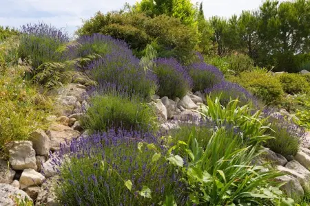 Villa Lézard Bleu, Villa moderne à Camplong avec piscine privée - Photo 25