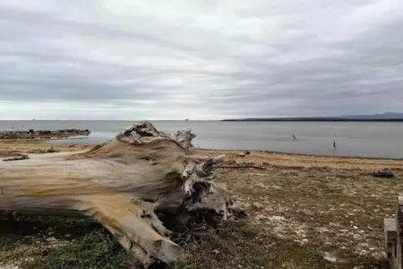 Villa Lézard Bleu, Villa moderne à Camplong avec piscine privée - Photo 28