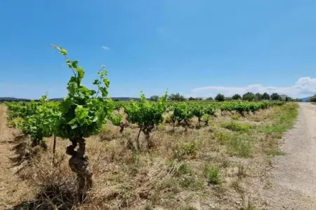 Villa Lézard Bleu, Villa moderne à Camplong avec piscine privée - Photo 31