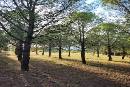 Villa Lézard Bleu, Villa moderne à Camplong avec piscine privée - Photo 32