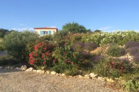 Villa Lézard Bleu, Villa moderne à Camplong avec piscine privée - Photo 38