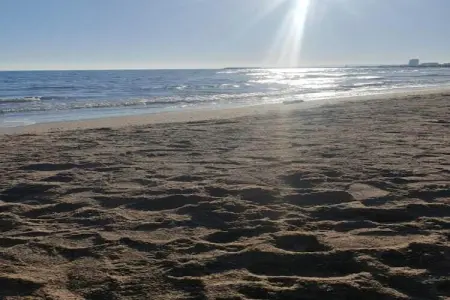 Hélios, Villa confortable à Roquebrun avec piscine - Photo 28