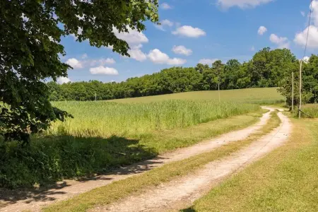 L'Hermite, Maison de vacances spacieuse avec grand jardin à Thenon - Photo 24