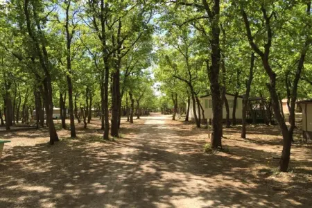 Le Clos Savornin 2, Villa provençale de luxe, vue sur les environs du Lubéron - Photo 17