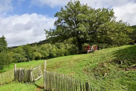 La Remise, Charmante ferme avec piscine privée à Terrou - Photo 27