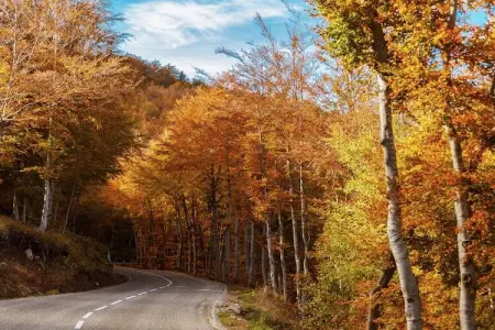 Maison de vacance - Cros-de-Géorand, Charmante longère avec piscine à Cros-de-Géorand - Photo 30
