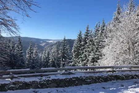 Maison de vacance - Cros-de-Géorand, Charmante longère avec piscine à Cros-de-Géorand - Photo 32