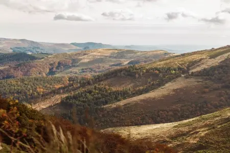 Maison de vacance - Cros-de-Géorand, Charmante longère avec piscine à Cros-de-Géorand - Photo 34