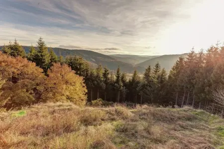 Maison de vacance - Cros-de-Géorand, Charmante longère avec piscine à Cros-de-Géorand - Photo 35