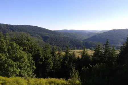 Maison de vacance - Cros-de-Géorand, Charmante longère avec piscine à Cros-de-Géorand - Photo 39
