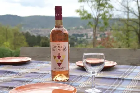 Villa Joyeuse 22, Jolie maison de vacances, terrasse à Joyeuse, sud France - Photo 39