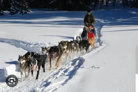 L'Orée des Pistes 2, Appartement en bois à SuperDévoluy familiale et ensoleillée - Photo 38