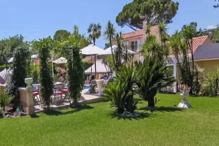 Palmiers, Villa somptueuse avec sauna à Mouans-Sartoux - Photo 17