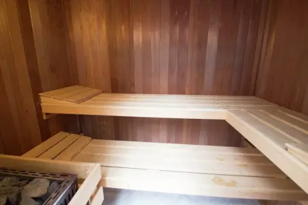 Palmiers, Villa somptueuse avec sauna à Mouans-Sartoux - Photo 38