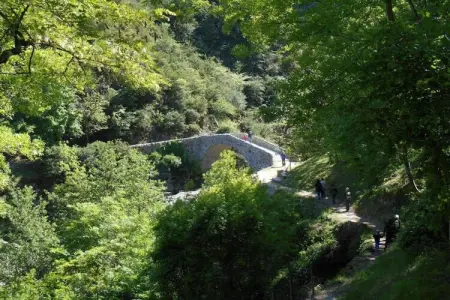 Villa - Sampzon, Maison de vacances paisible à Sampzon avec piscine - Photo 34