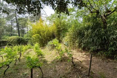 Les Lavandes, Maison de vacances agréable avec piscine privée aux Salelles - Photo 33