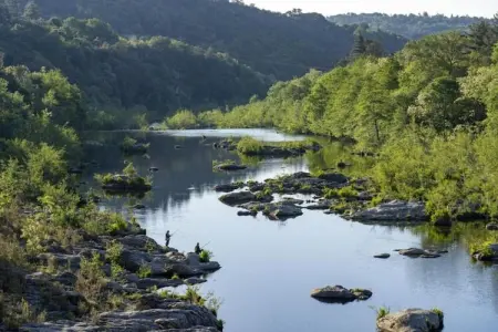 Les Hortensias, Maison de vacances paisible aux Salelles avec Piscine - Photo 35