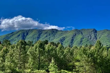 Les Hortensias, Maison de vacances paisible aux Salelles avec Piscine - Photo 37