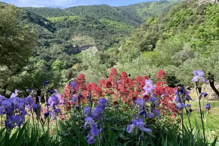 Les Hortensias, Maison de vacances paisible aux Salelles avec Piscine - Photo 38