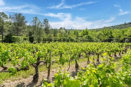 Maison de vacances - Les Vans, Maison de vacances vintage avec piscine aux Vans - Photo 32