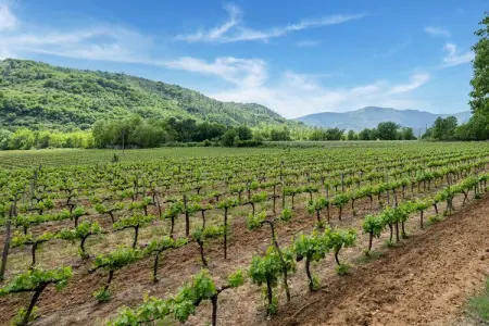 Maison de vacances - Les Vans, Maison de vacances vintage avec piscine aux Vans - Photo 33