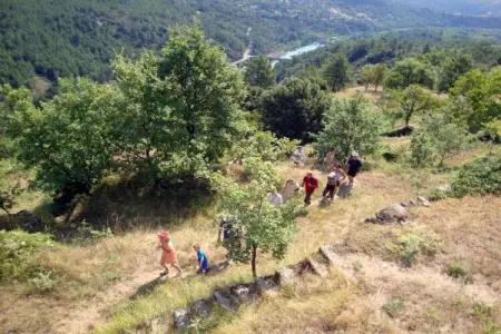 Villa Chassagnes, Maison de vacances dans le sud de la France avec jardin - Photo 30