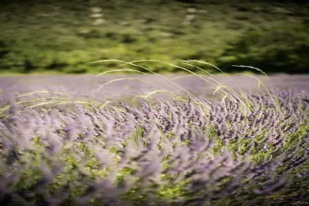 Les Sources de Manon 1, Agréable appartement près de l'arche naturelle du Pont d'Arc - Photo 16