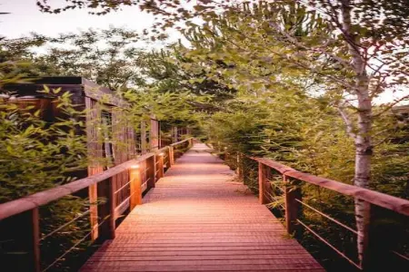 Les Sources de Manon 1, Agréable appartement près de l'arche naturelle du Pont d'Arc - Photo 31