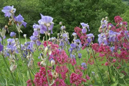 Gite - SAINT PONS, Belle maison de vacances à Saint-Pons près de la forêt - Photo 19