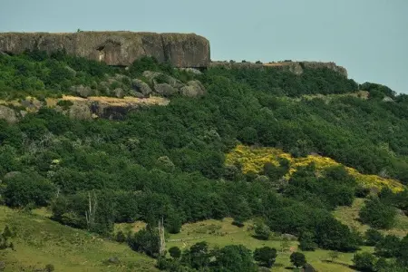 Gite - SAINT PONS, Belle maison de vacances à Saint-Pons près de la forêt - Photo 31