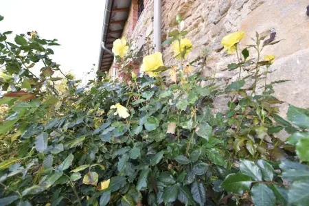 Ferme Remy, Maison de vacances spacieuse près de la forêt à Tailly - Photo 21