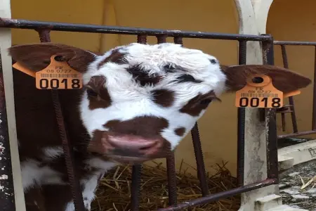 Ferme Remy, Maison de vacances spacieuse près de la forêt à Tailly - Photo 22