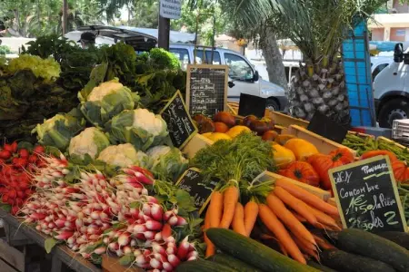 Gîte 1824, Villa vintage avec terrasse pricée à Artigat - Photo 20